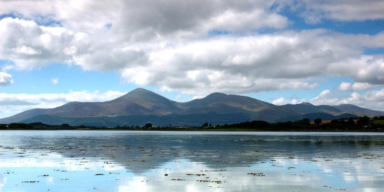 Forest View - Castlewellan, County Down เบลฟาสต์ ภายนอก รูปภาพ