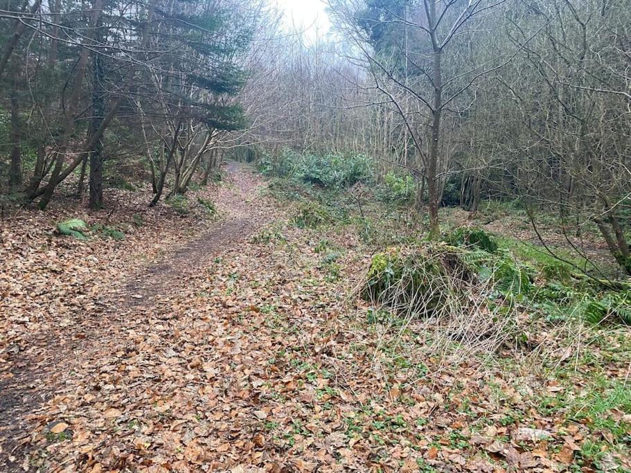Forest View - Castlewellan, County Down เบลฟาสต์ ภายนอก รูปภาพ