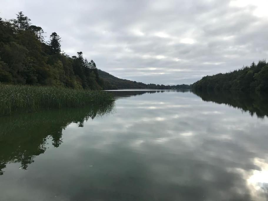 Forest View - Castlewellan, County Down เบลฟาสต์ ภายนอก รูปภาพ