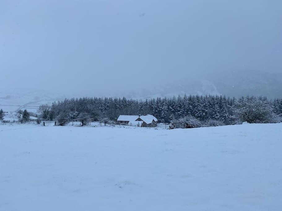 Forest View - Castlewellan, County Down เบลฟาสต์ ภายนอก รูปภาพ