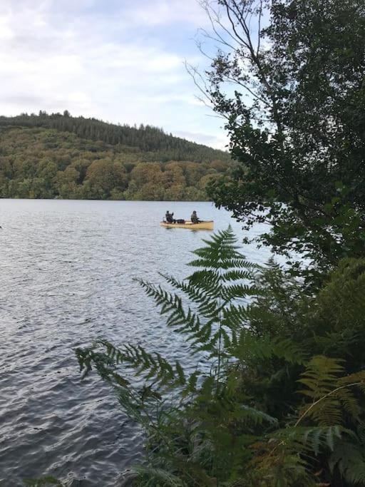 Forest View - Castlewellan, County Down เบลฟาสต์ ภายนอก รูปภาพ
