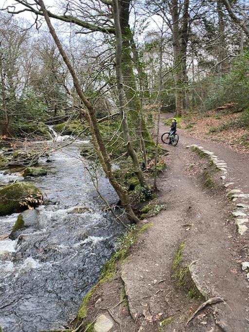 Forest View - Castlewellan, County Down เบลฟาสต์ ภายนอก รูปภาพ