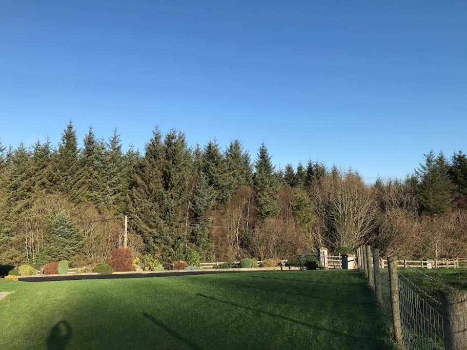 Forest View - Castlewellan, County Down เบลฟาสต์ ภายนอก รูปภาพ