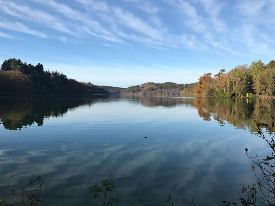 Forest View - Castlewellan, County Down เบลฟาสต์ ภายนอก รูปภาพ