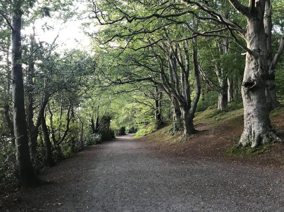 Forest View - Castlewellan, County Down เบลฟาสต์ ภายนอก รูปภาพ