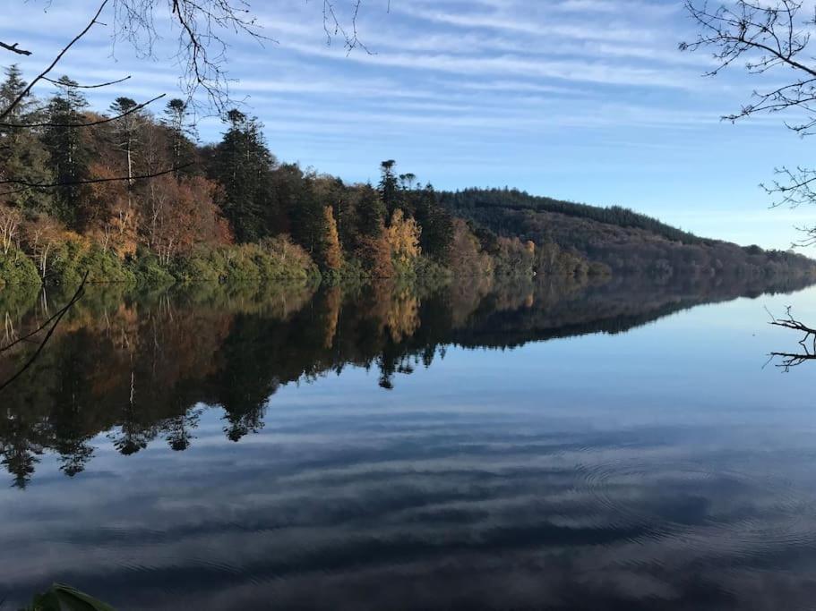 Forest View - Castlewellan, County Down เบลฟาสต์ ภายนอก รูปภาพ