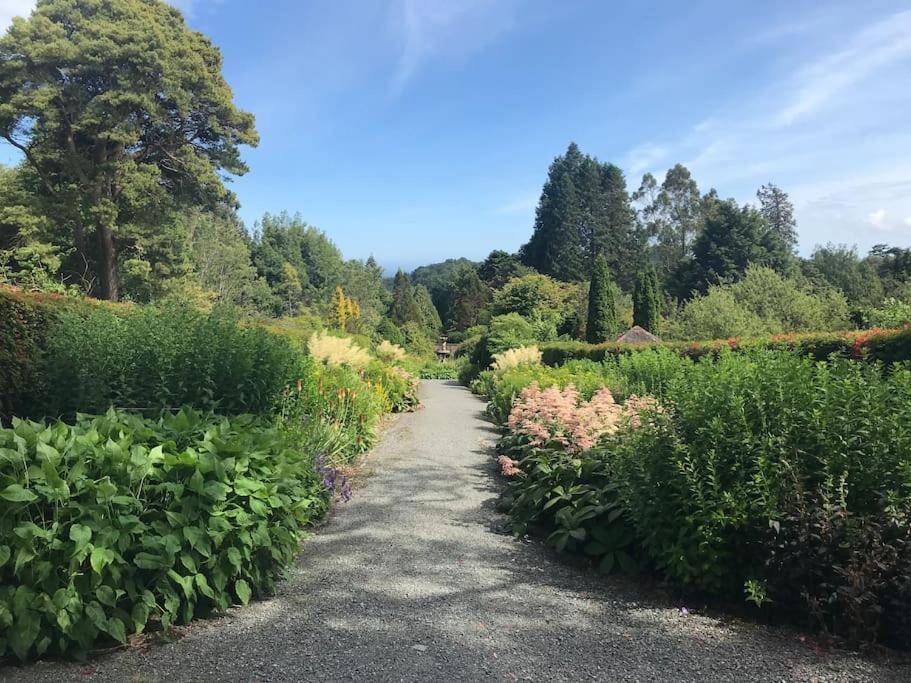 Forest View - Castlewellan, County Down เบลฟาสต์ ภายนอก รูปภาพ