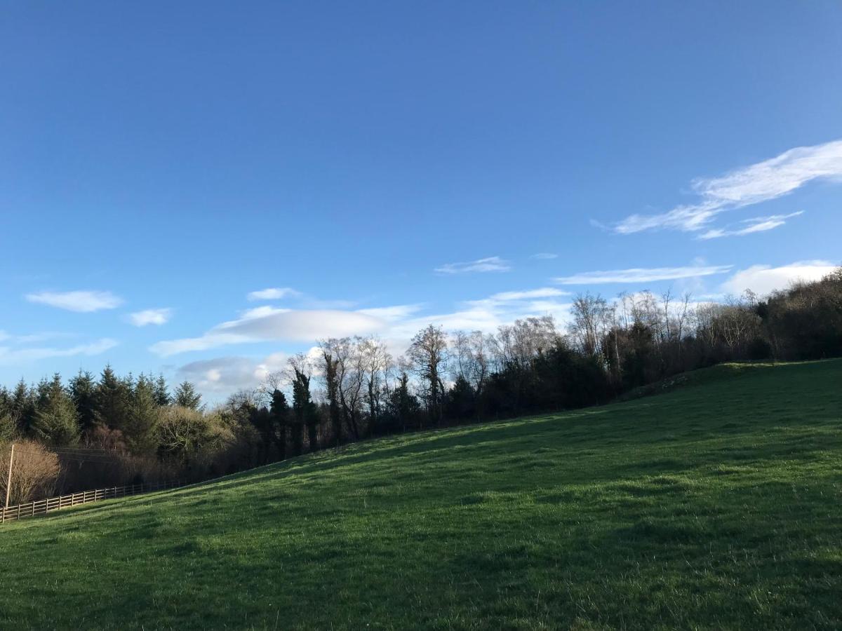 Forest View - Castlewellan, County Down เบลฟาสต์ ภายนอก รูปภาพ